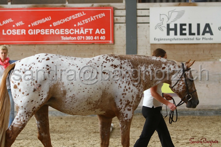 24-ApHC HIH_001.jpg